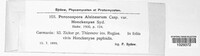 Peronospora alsinearum image